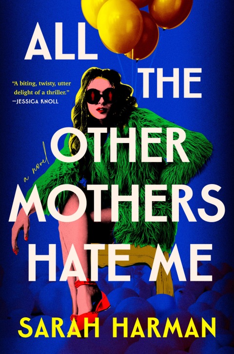 Cover image for book All the Other Mothers Hate Me