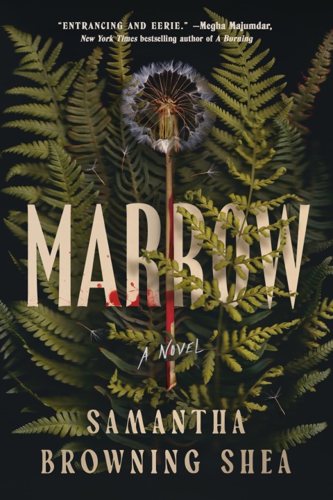 Cover image for book Marrow