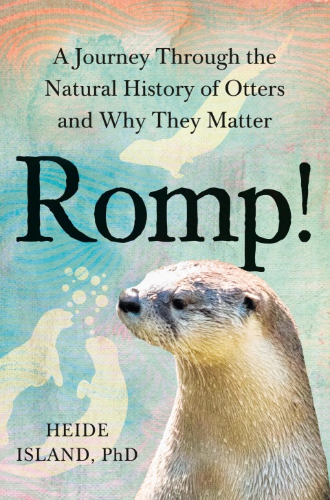 Cover image for book Romp!