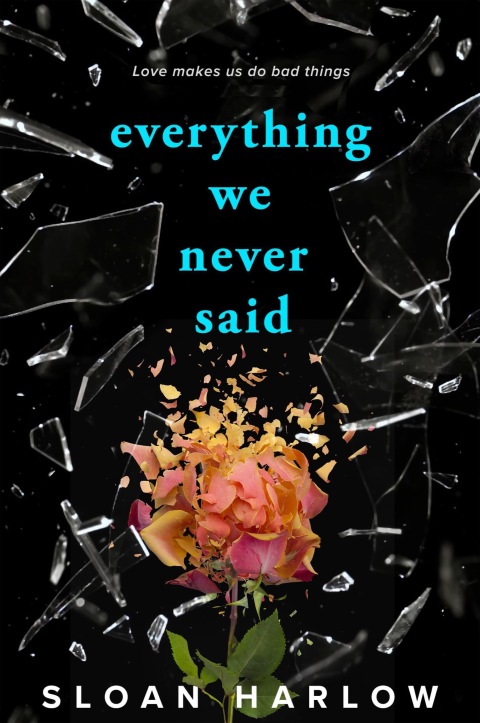 Cover image for book Everything We Never Said