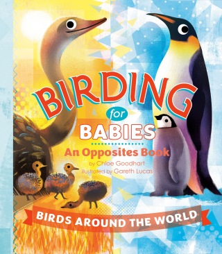 Birding for Babies: Birds Around the World