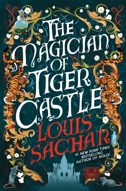 Cover image for book The Magician of Tiger Castle
