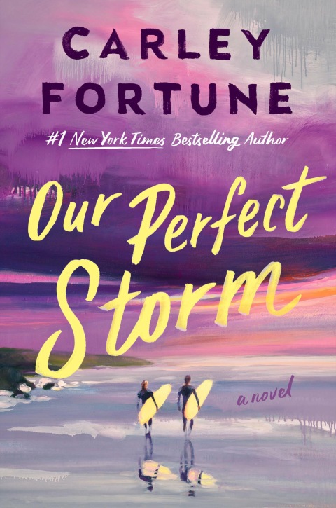 Cover image for book Our Perfect Storm