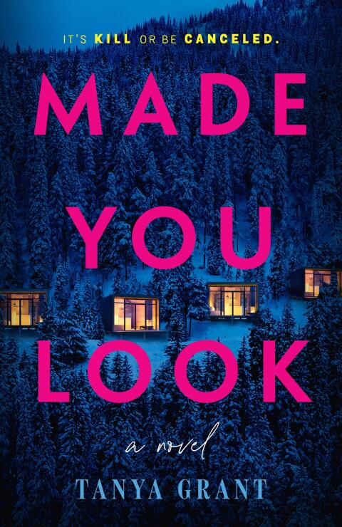 Cover image for book Made You Look