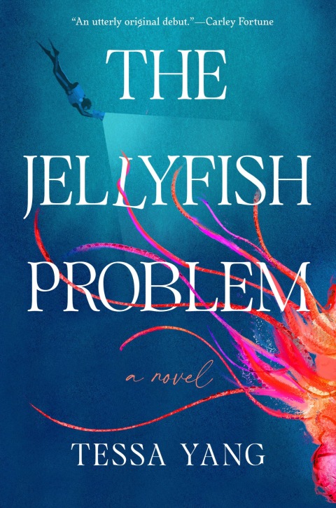 Cover image for book The Jellyfish Problem