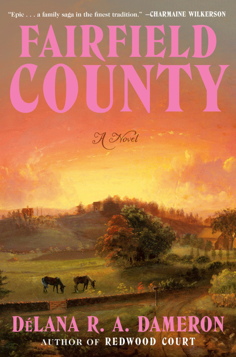 Cover image for book Fairfield County