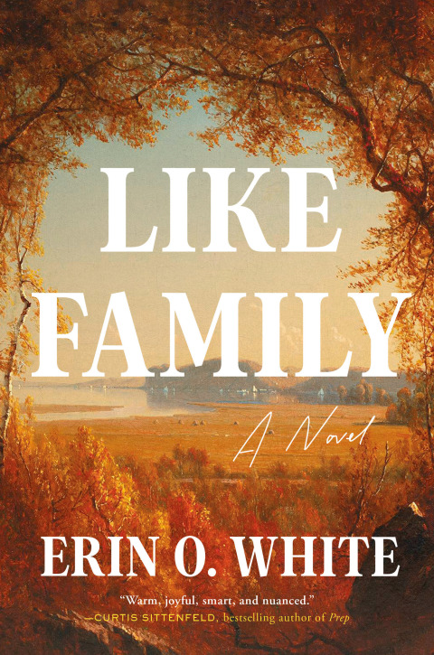 Cover image for book Like Family