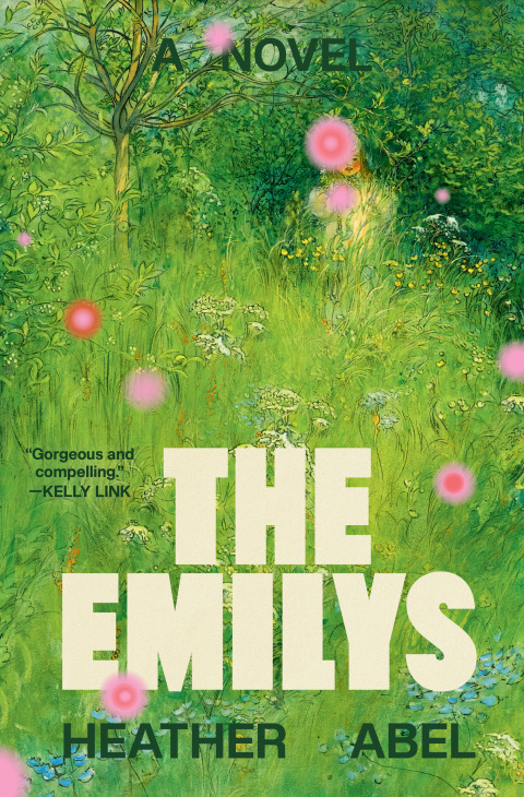 Cover image for book The Emilys