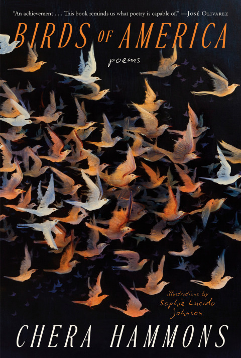 Cover image for book Birds of America