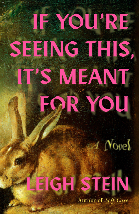 Cover image for book If You're Seeing This, It's Meant for You