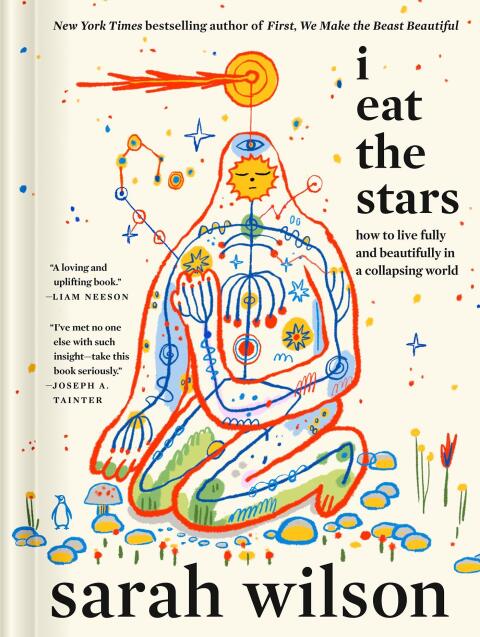 Cover image for book I Eat the Stars