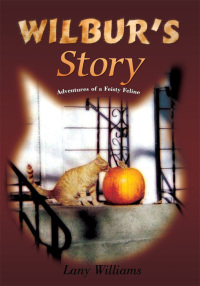 Cover image: Wilbur's Story 9780595498475