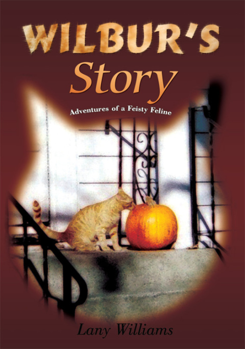 Cover image for book Wilbur's Story