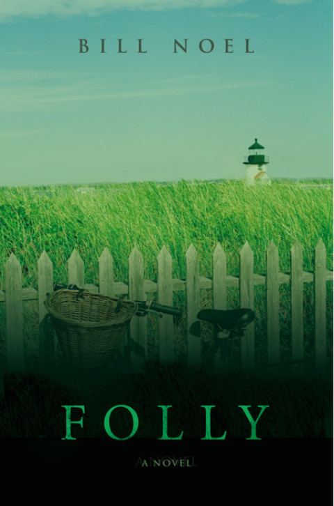 Cover image for book Folly