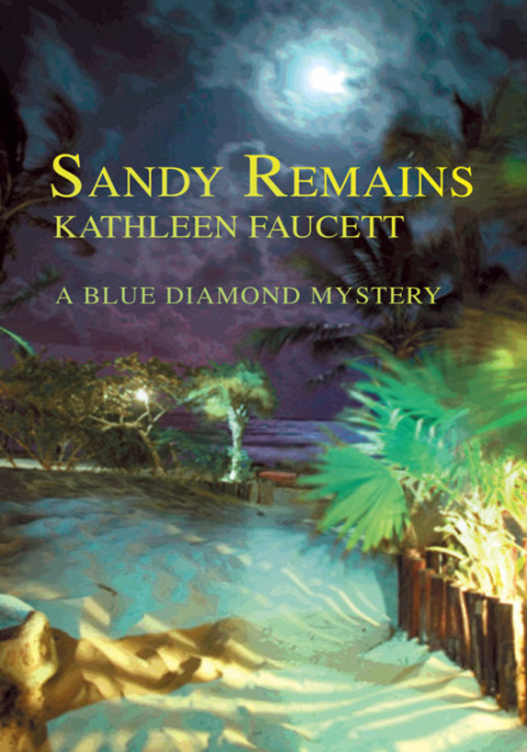Cover image for book Sandy Remains