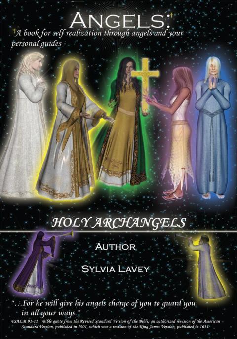 Cover image for book Angels