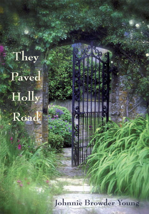 Cover image for book They Paved Holly Road