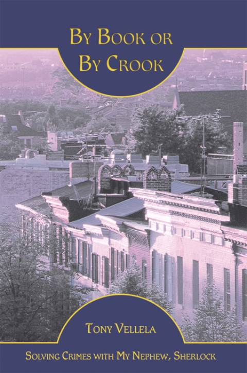 Cover image for book By Book or by Crook