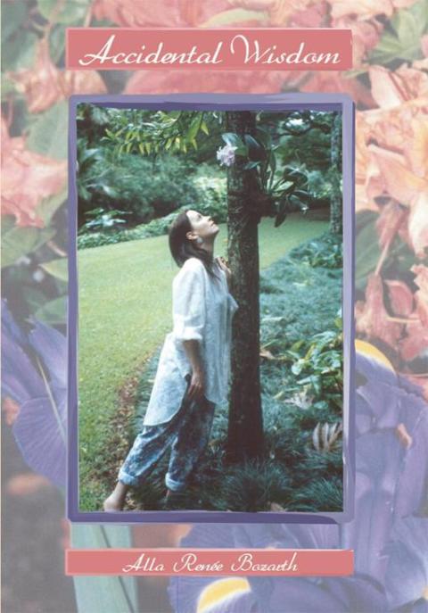 Cover image for book Accidental Wisdom