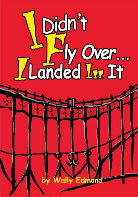 Cover image for book I Didn't Fly Over... I Landed in It