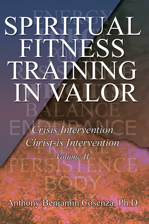 Cover image for book Spiritual Fitness Training in Valor