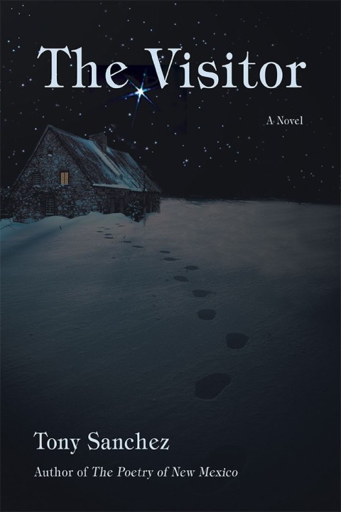 Cover image for book The Visitor