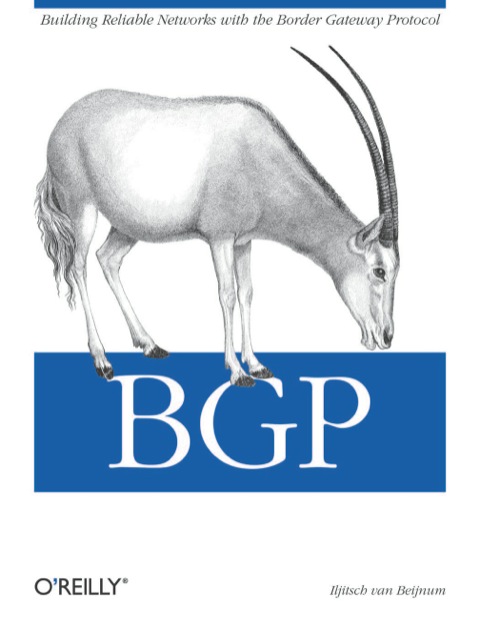 Cover image for book BGP