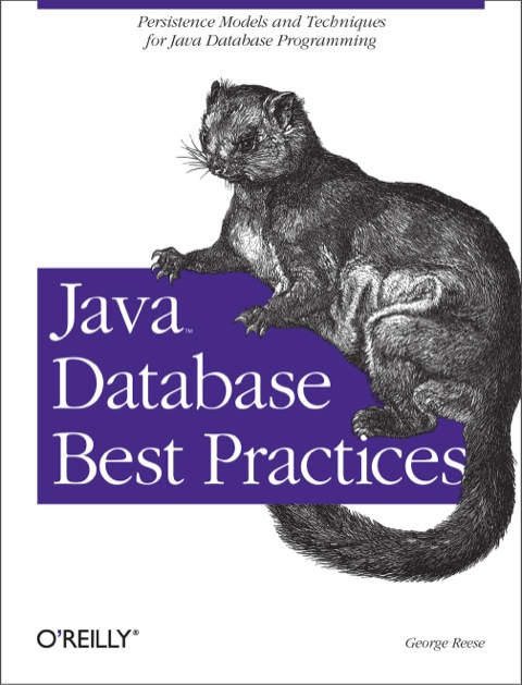 Cover image for book Java Database Best Practices