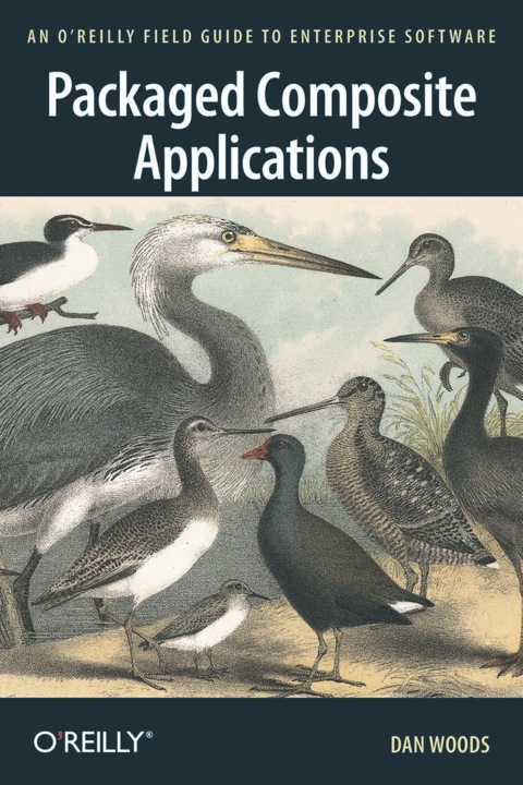Cover image for book Packaged Composite Applications
