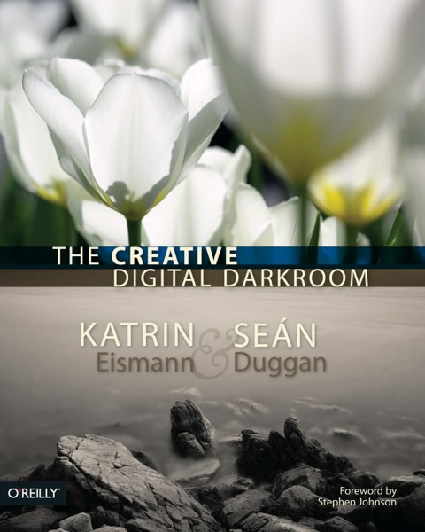 Cover image for book The Creative Digital Darkroom
