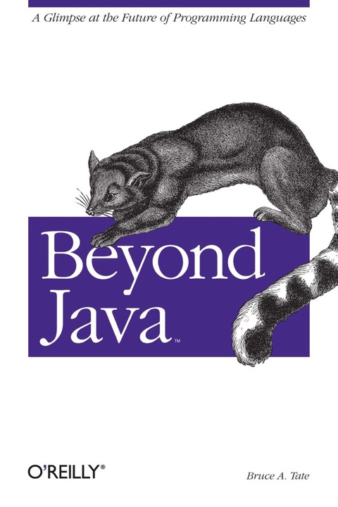 Cover image for book Beyond Java