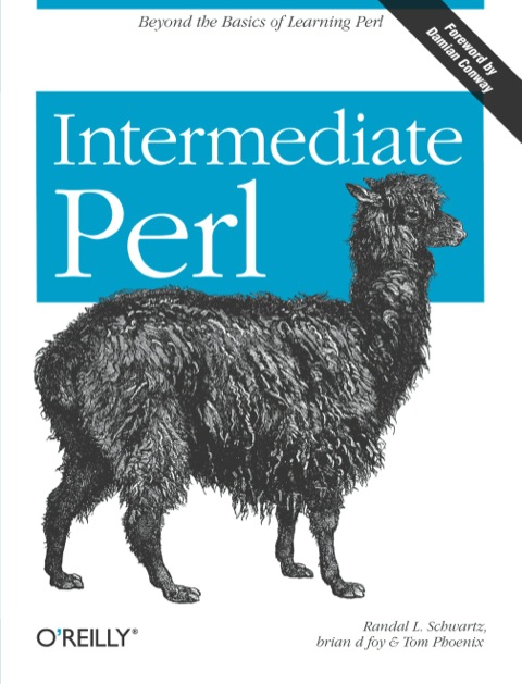 Cover image for book Intermediate Perl