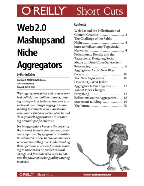 Cover image for book Web 2.0 Mash-ups and the New Aggregators