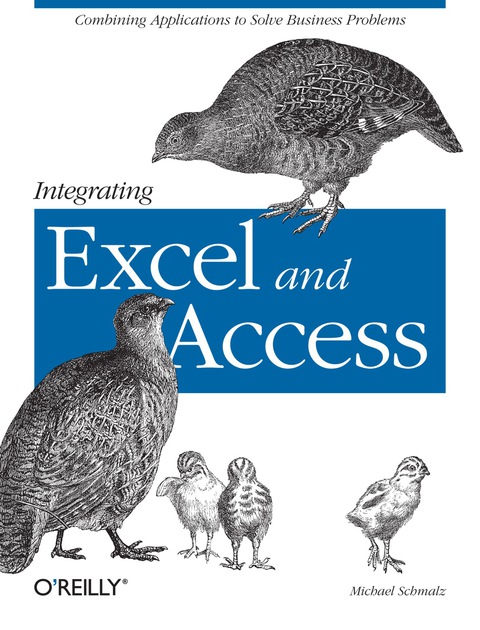 Cover image for book Integrating Excel and Access
