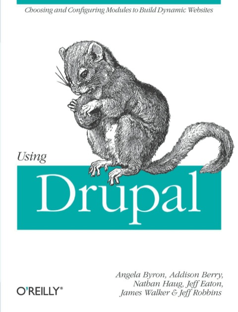 Cover image for book Using Drupal