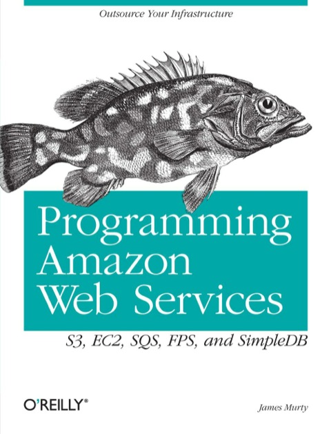 Cover image for book Programming Amazon Web Services