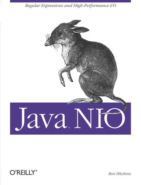 Cover image for book Java NIO