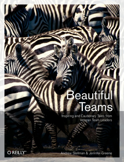 Cover image for book Beautiful Teams