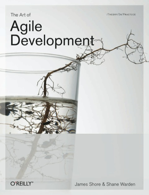 Cover image for book The Art of Agile Development