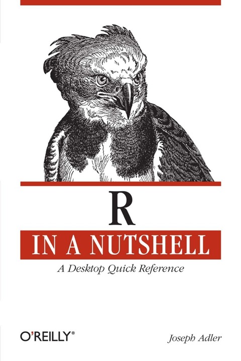 Cover image for book R in a Nutshell