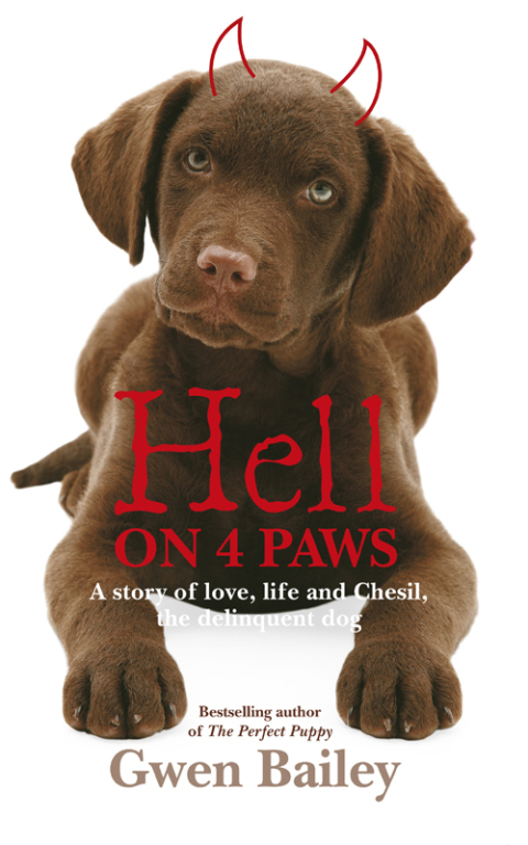 Cover image for book Hell On 4 Paws