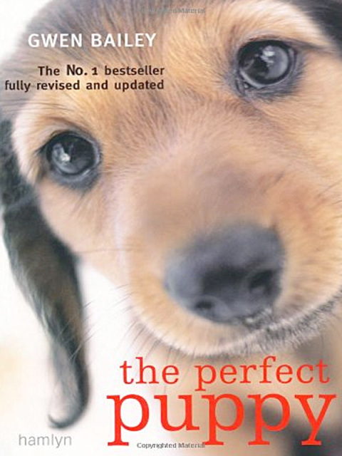 Cover image for book Perfect Puppy