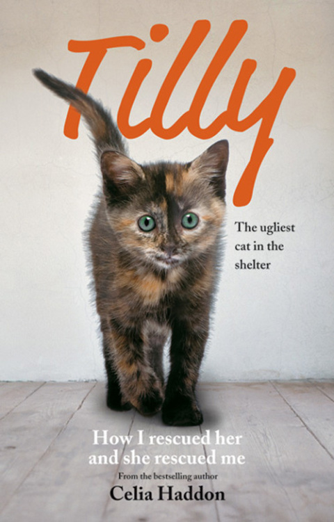 Cover image for book Tilly: The Ugliest Cat