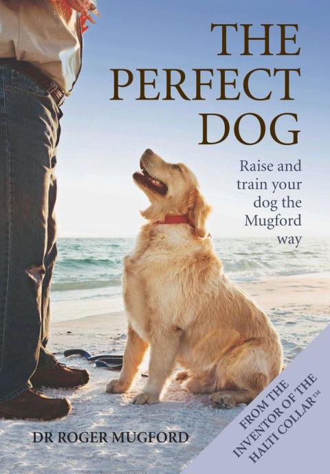 Cover image for book The Perfect Dog
