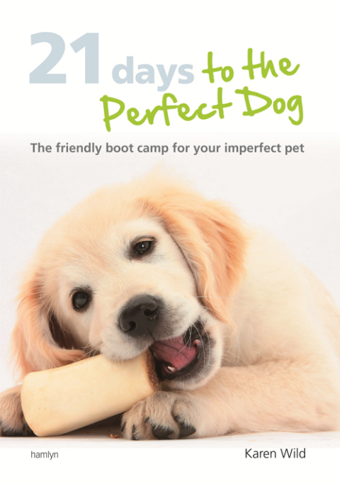 Cover image for book 21 Days To The Perfect Dog