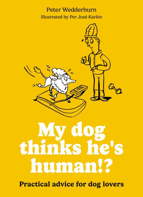 Cover image for book My dog thinks he's human!?