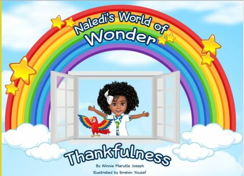 Cover image for book Naledi's World of Wonder