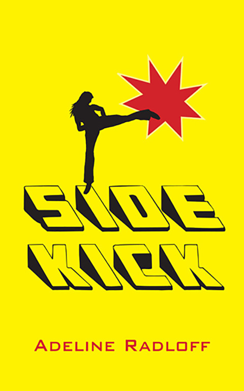 Cover image for book Sidekick