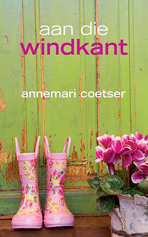 Cover image for book Aan die windkant