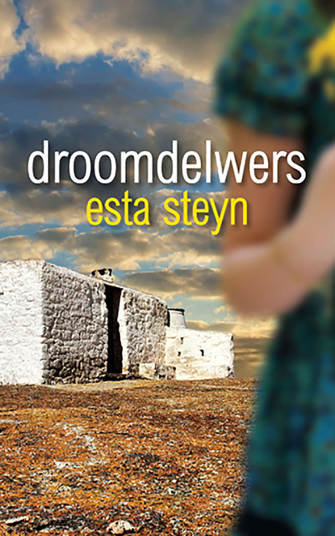 Cover image for book Droomdelwers